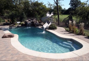 Signature Pools 40' x 16' fiberglass pool in Batavia, Illinois