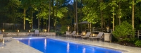 Master of Design Award Winning Pool in 2010 - This is a Grand Elegance (40' x 16') pool built in St. Charles, IL